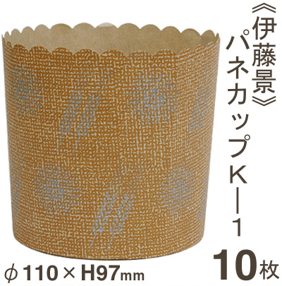伊藤景 パネカップＫ－1
